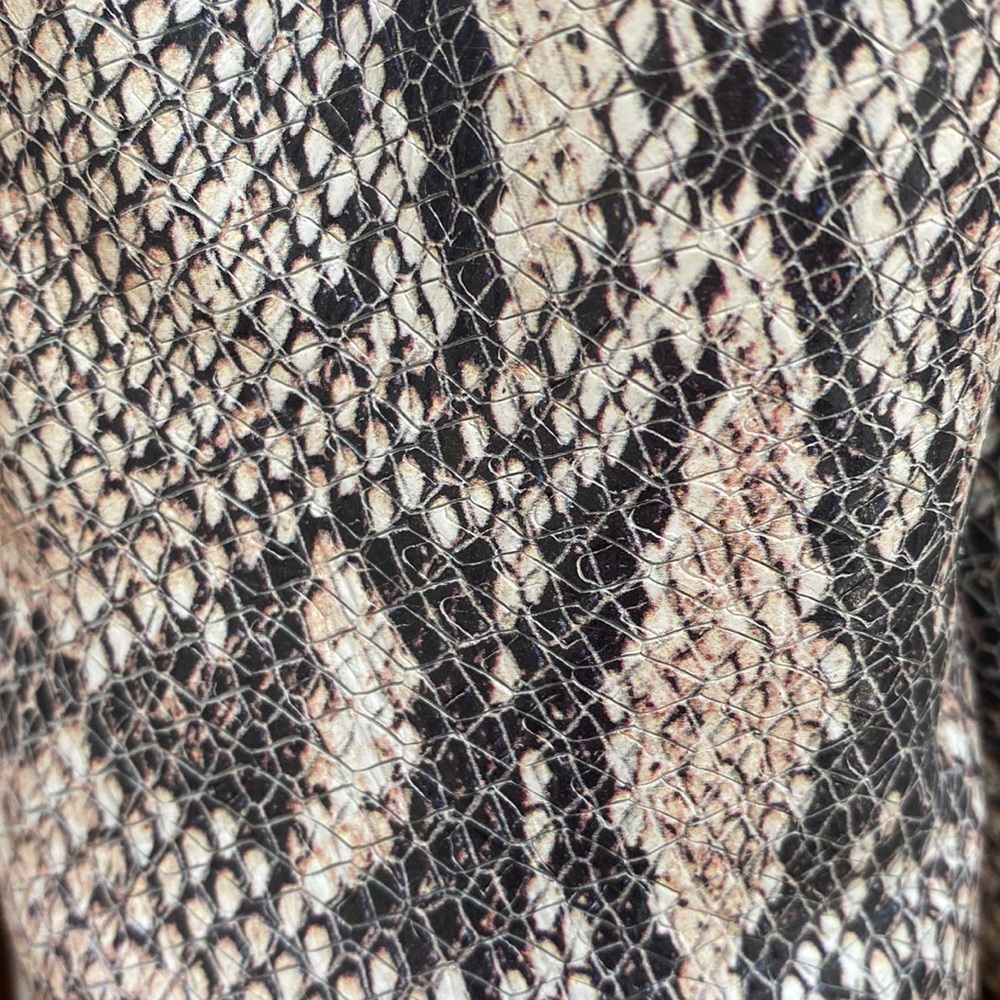 Able Mules - image 2